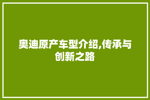 奥迪原产车型介绍,传承与创新之路