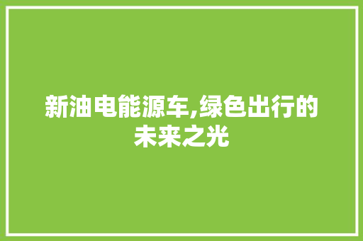 新油电能源车,绿色出行的未来之光