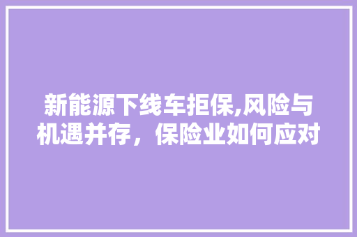 新能源下线车拒保,风险与机遇并存，保险业如何应对