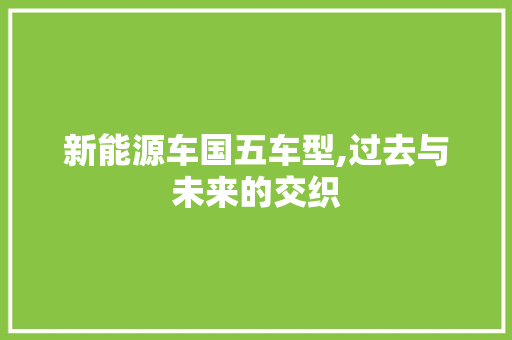 新能源车国五车型,过去与未来的交织