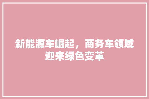 新能源车崛起，商务车领域迎来绿色变革