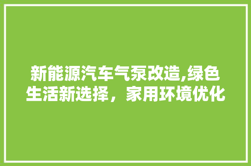 新能源汽车气泵改造,绿色生活新选择，家用环境优化利器