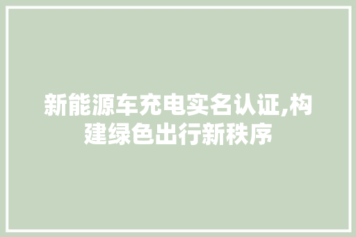 新能源车充电实名认证,构建绿色出行新秩序