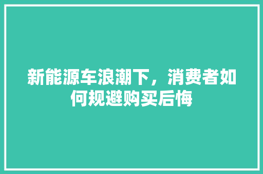 新能源车浪潮下，消费者如何规避购买后悔