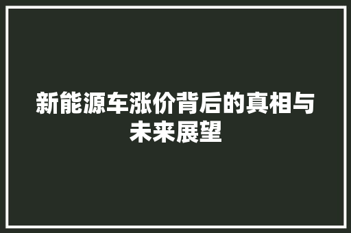 新能源车涨价背后的真相与未来展望