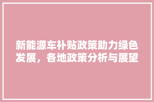 新能源车补贴政策助力绿色发展，各地政策分析与展望