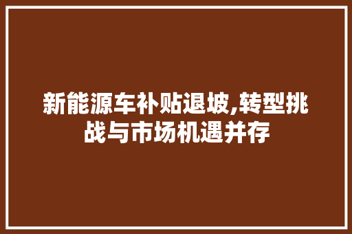 新能源车补贴退坡,转型挑战与市场机遇并存  第1张 新能源车补贴退坡,转型挑战与市场机遇并存 汽车保养