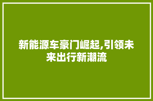 新能源车豪门崛起,引领未来出行新潮流