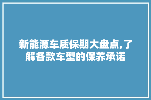 新能源车质保期大盘点,了解各款车型的保养承诺