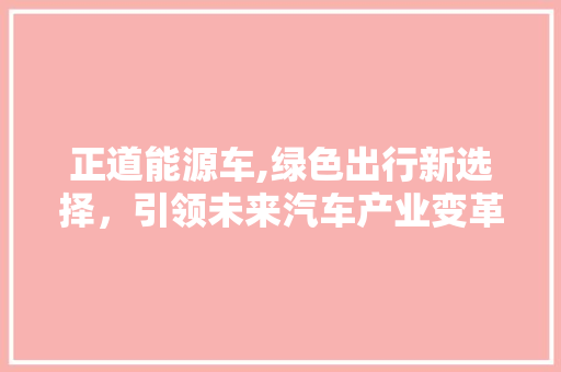 正道能源车,绿色出行新选择，引领未来汽车产业变革