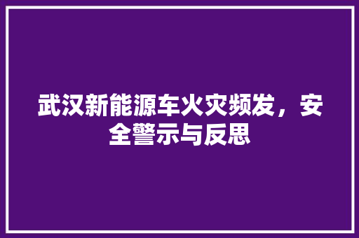 武汉新能源车火灾频发，安全警示与反思