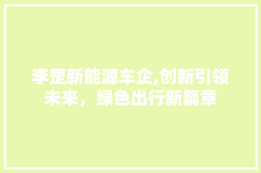 李罡新能源车企,创新引领未来，绿色出行新篇章