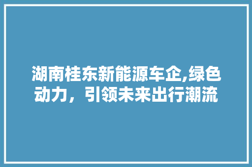 湖南桂东新能源车企,绿色动力，引领未来出行潮流