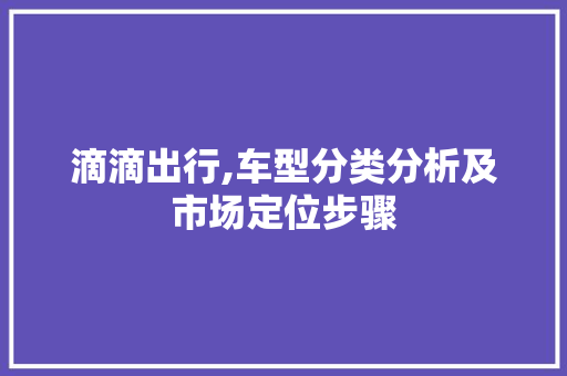 滴滴出行,车型分类分析及市场定位步骤