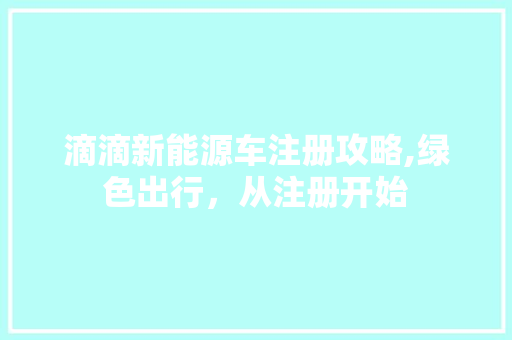 滴滴新能源车注册攻略,绿色出行，从注册开始