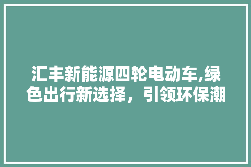 汇丰新能源四轮电动车,绿色出行新选择，引领环保潮流