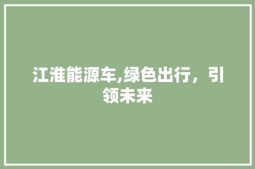 江淮能源车,绿色出行，引领未来