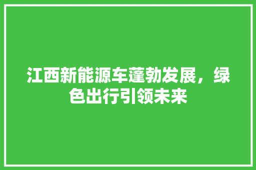 江西新能源车蓬勃发展，绿色出行引领未来