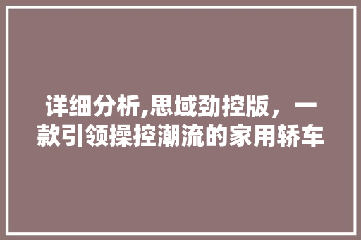 详细分析,思域劲控版，一款引领操控潮流的家用轿车
