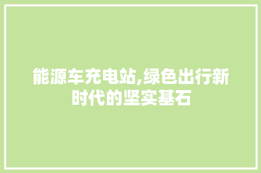 能源车充电站,绿色出行新时代的坚实基石