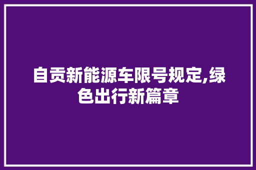 自贡新能源车限号规定,绿色出行新篇章