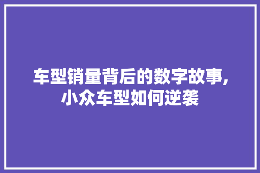 车型销量背后的数字故事,小众车型如何逆袭