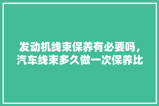 发动机线束保养有必要吗，汽车线束多久做一次保养比较好。  第1张 发动机线束保养有必要吗，汽车线束多久做一次保养比较好。 热门车