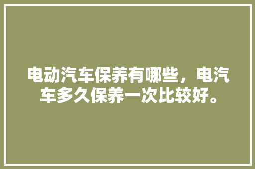电动汽车保养有哪些，电汽车多久保养一次比较好。  第1张 电动汽车保养有哪些，电汽车多久保养一次比较好。 摩托车配件