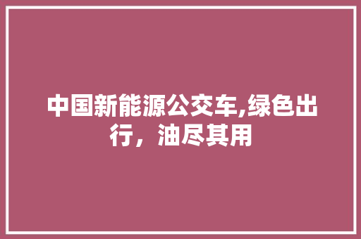 中国新能源公交车,绿色出行，油尽其用