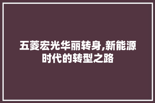 五菱宏光华丽转身,新能源时代的转型之路 新车