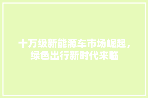 十万级新能源车市场崛起，绿色出行新时代来临