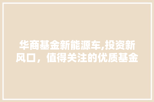 华商基金新能源车,投资新风口，值得关注的优质基金