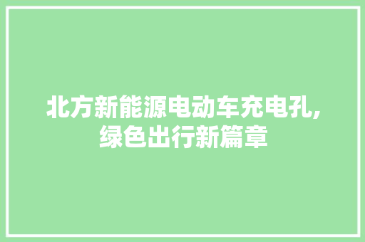 北方新能源电动车充电孔,绿色出行新篇章