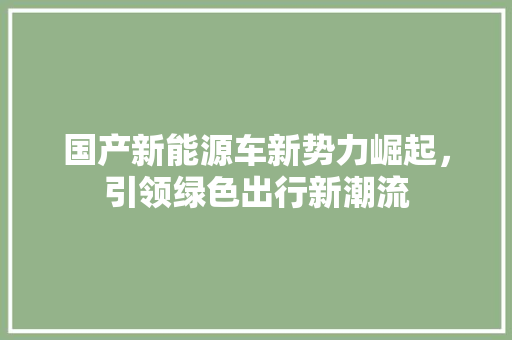 国产新能源车新势力崛起，引领绿色出行新潮流