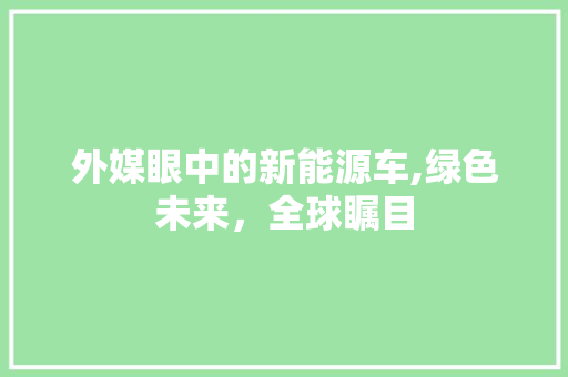 外媒眼中的新能源车,绿色未来，全球瞩目