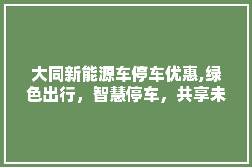 大同新能源车停车优惠,绿色出行，智慧停车，共享未来
