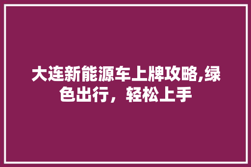 大连新能源车上牌攻略,绿色出行，轻松上手