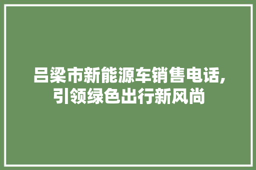 吕梁市新能源车销售电话,引领绿色出行新风尚