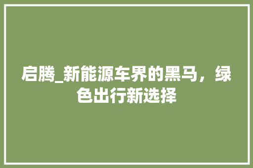 启腾_新能源车界的黑马，绿色出行新选择
