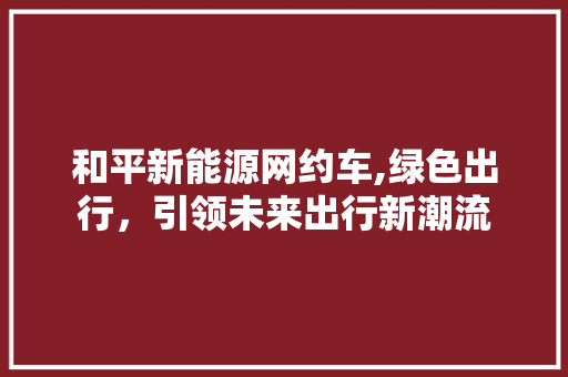 和平新能源网约车,绿色出行，引领未来出行新潮流