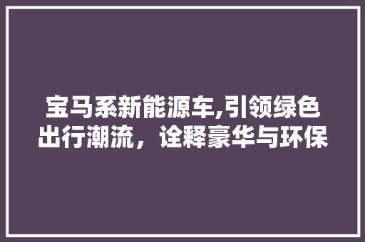 宝马系新能源车,引领绿色出行潮流，诠释豪华与环保的完美融合