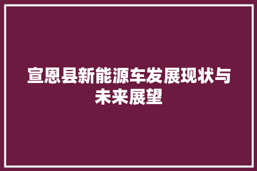 宣恩县新能源车发展现状与未来展望