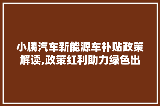 小鹏汽车新能源车补贴政策解读,政策红利助力绿色出行