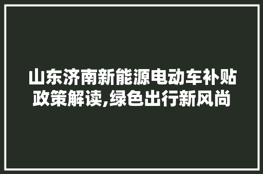 山东济南新能源电动车补贴政策解读,绿色出行新风尚