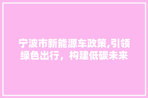 宁波市新能源车政策,引领绿色出行，构建低碳未来