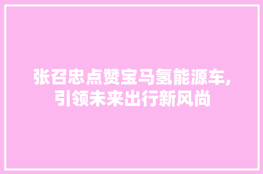 张召忠点赞宝马氢能源车,引领未来出行新风尚