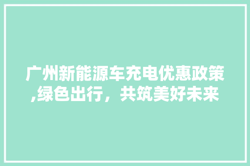 广州新能源车充电优惠政策,绿色出行，共筑美好未来