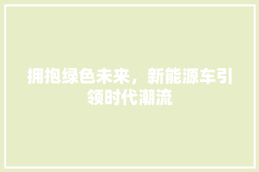 拥抱绿色未来，新能源车引领时代潮流
