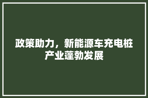 政策助力,新能源车充电桩产业蓬勃发展