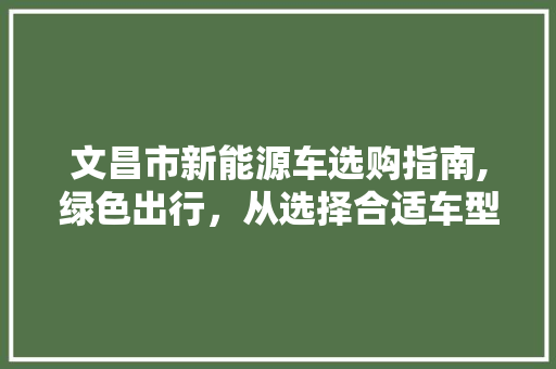 文昌市新能源车选购指南,绿色出行,从选择合适车型开始